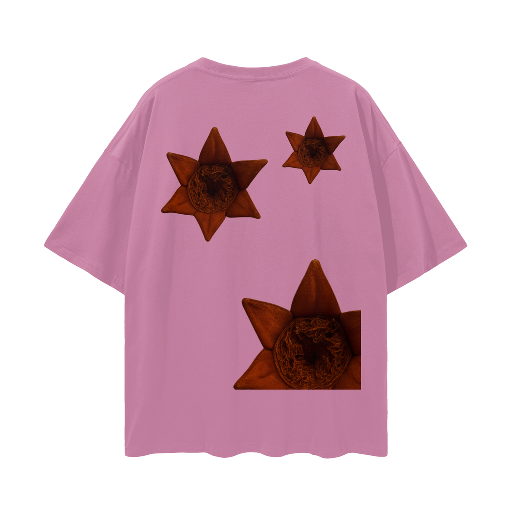 pom,top
